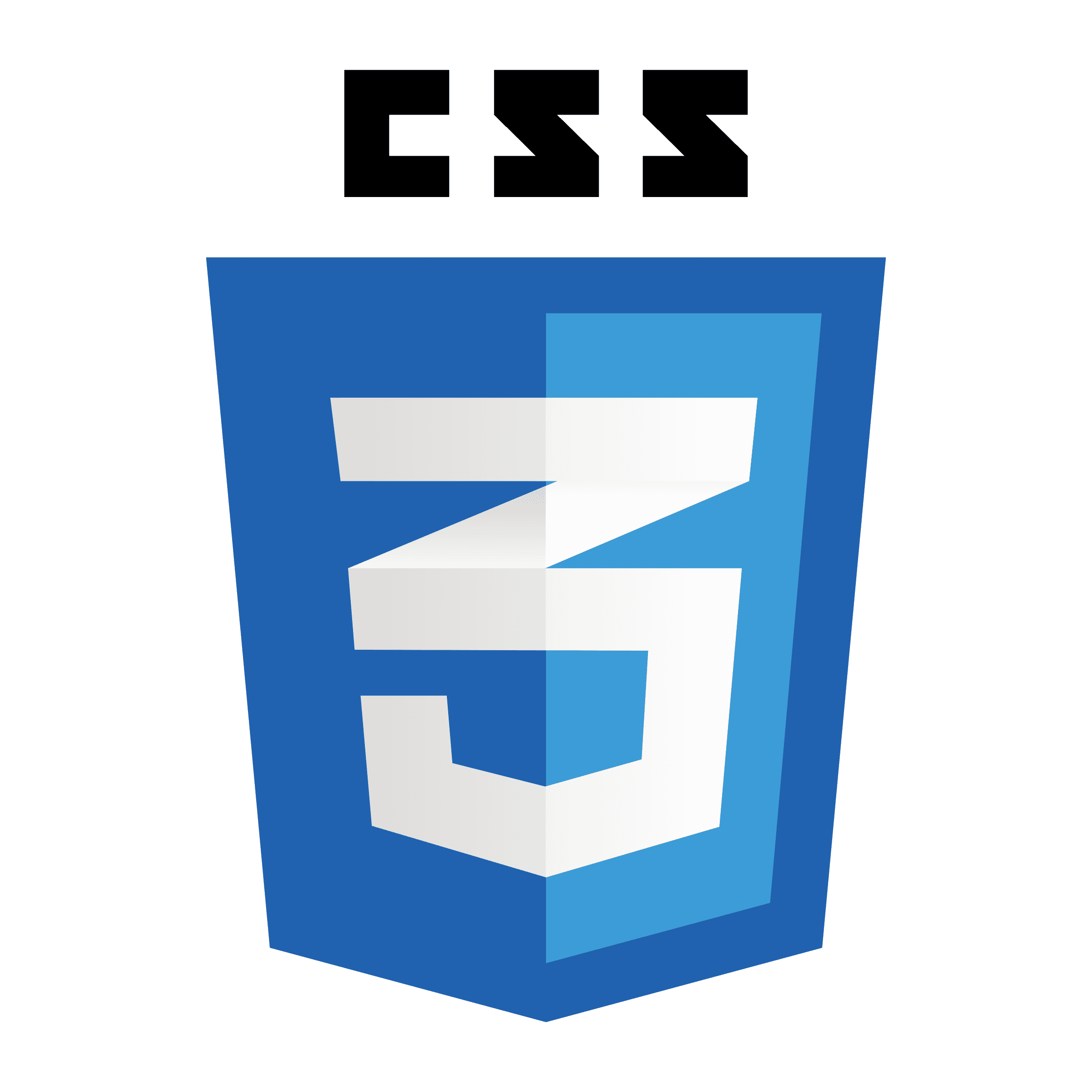 CSS Logo